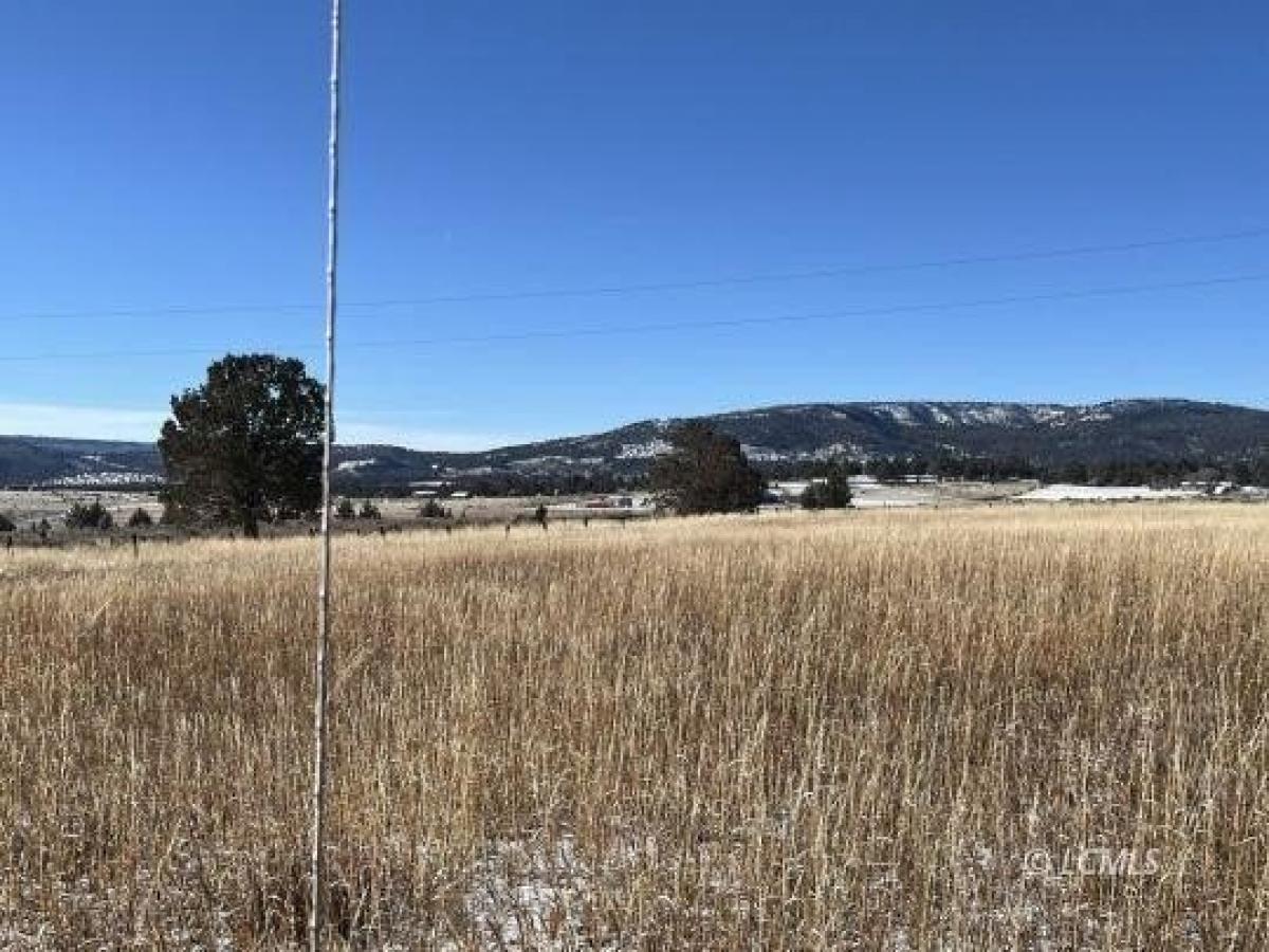 Picture of Residential Land For Sale in Lakeview, Oregon, United States