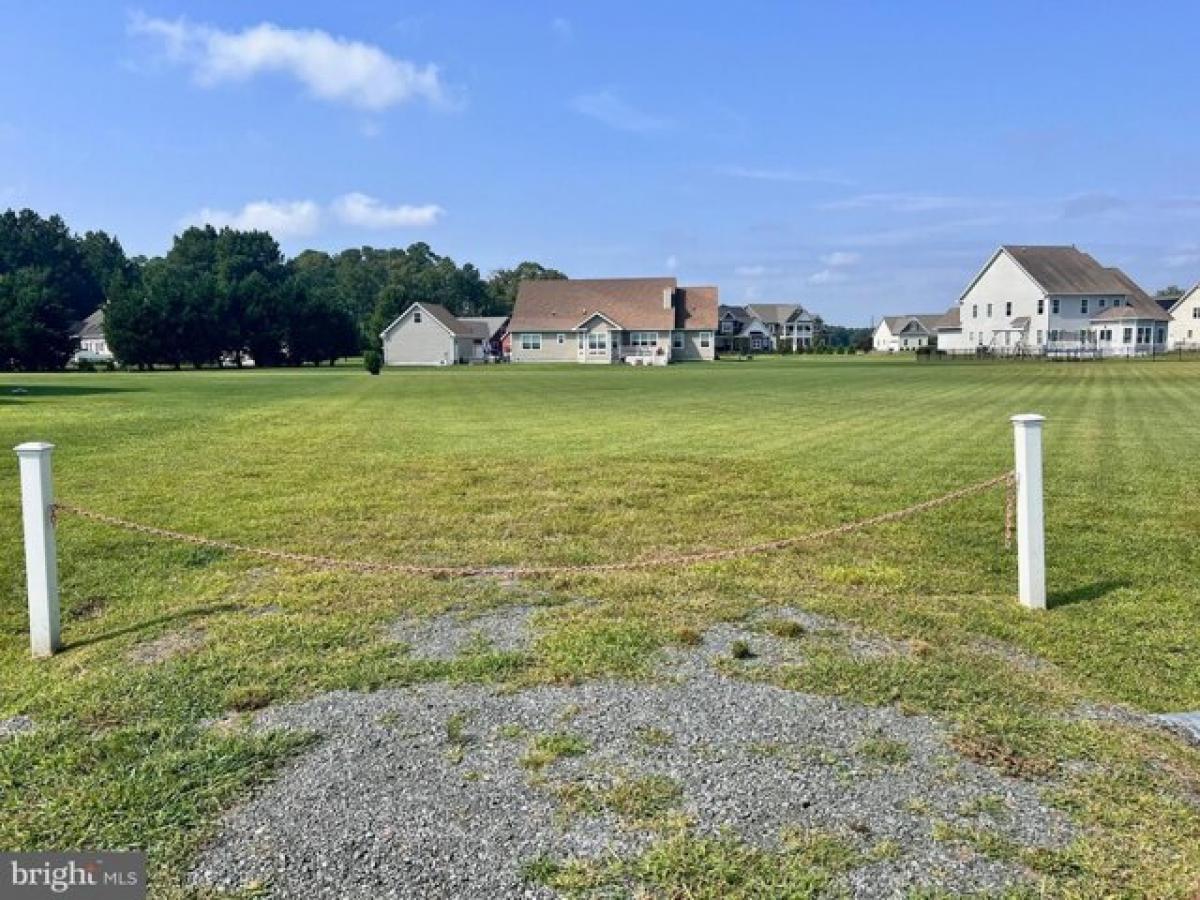 Picture of Residential Land For Sale in Millsboro, Delaware, United States