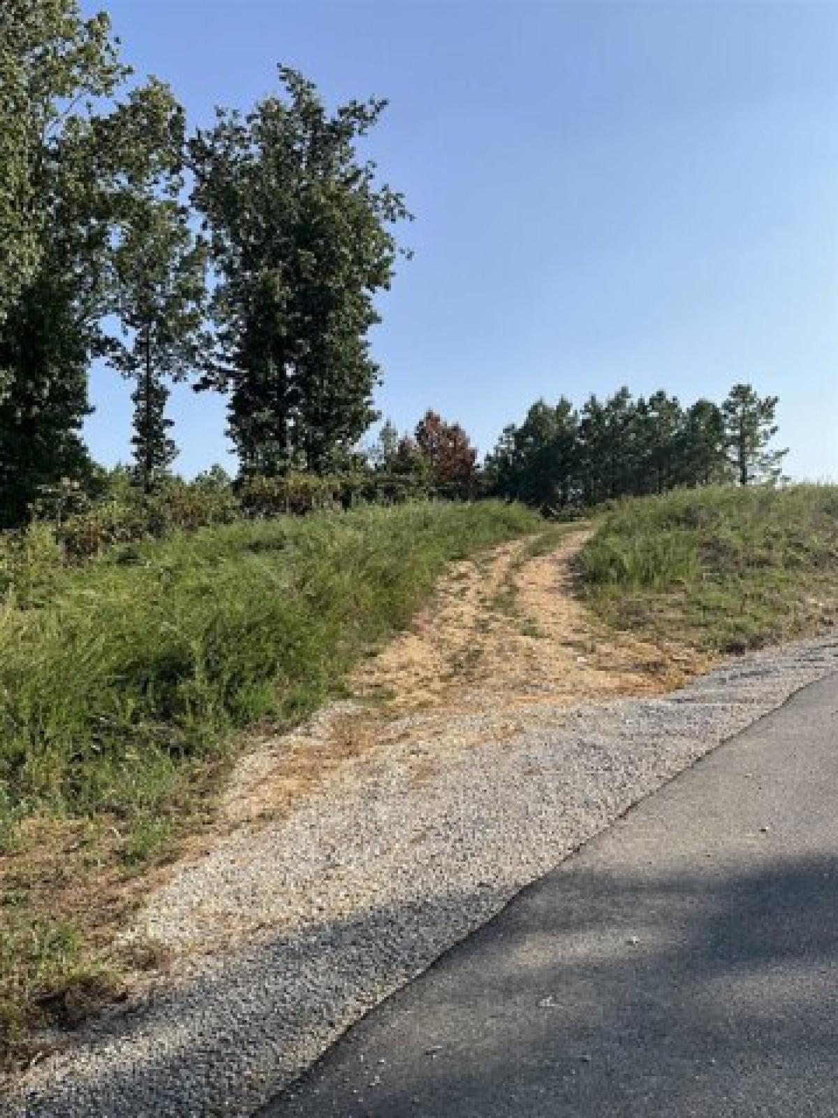 Picture of Residential Land For Sale in Cherokee, Alabama, United States