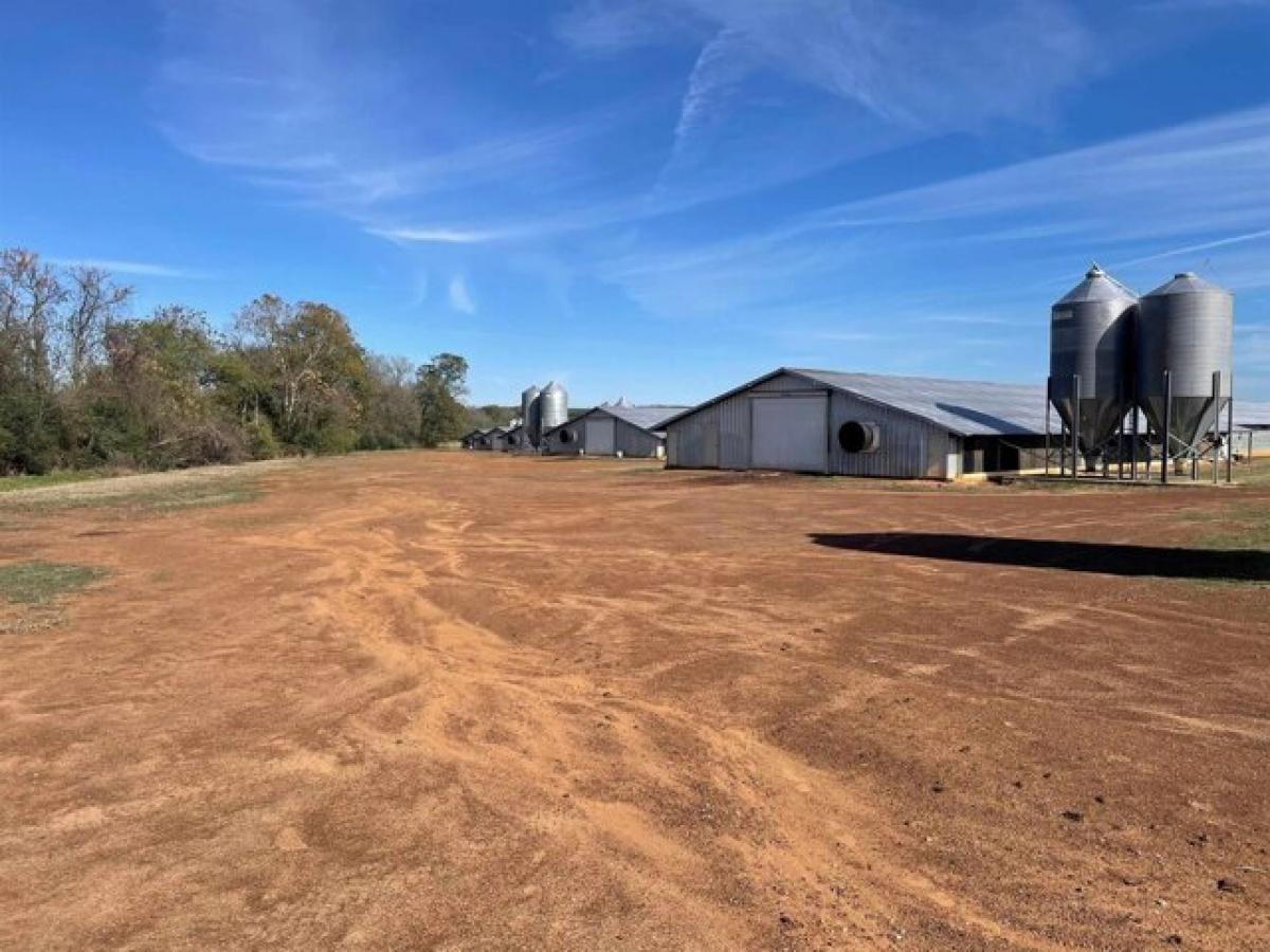 Picture of Residential Land For Sale in San Augustine, Texas, United States