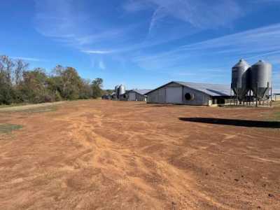 Residential Land For Sale in San Augustine, Texas