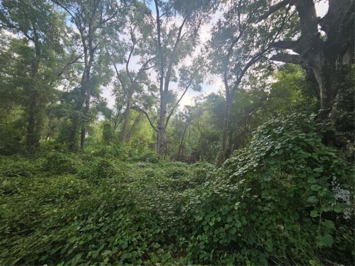 Picture of Residential Land For Sale in Hernando, Florida, United States