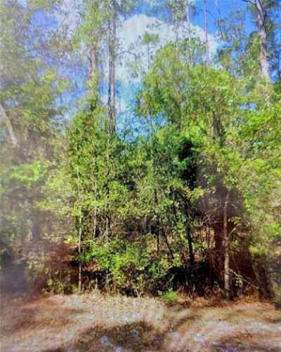 Residential Land For Sale in Georgetown, Florida