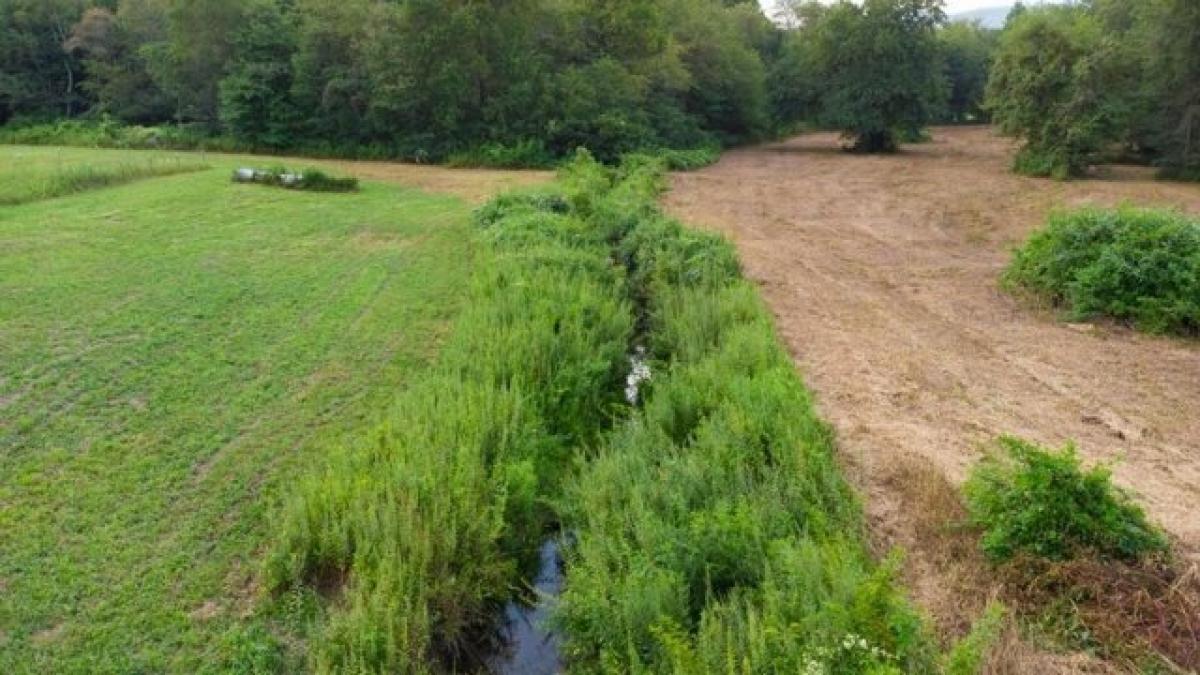 Picture of Residential Land For Sale in Suches, Georgia, United States