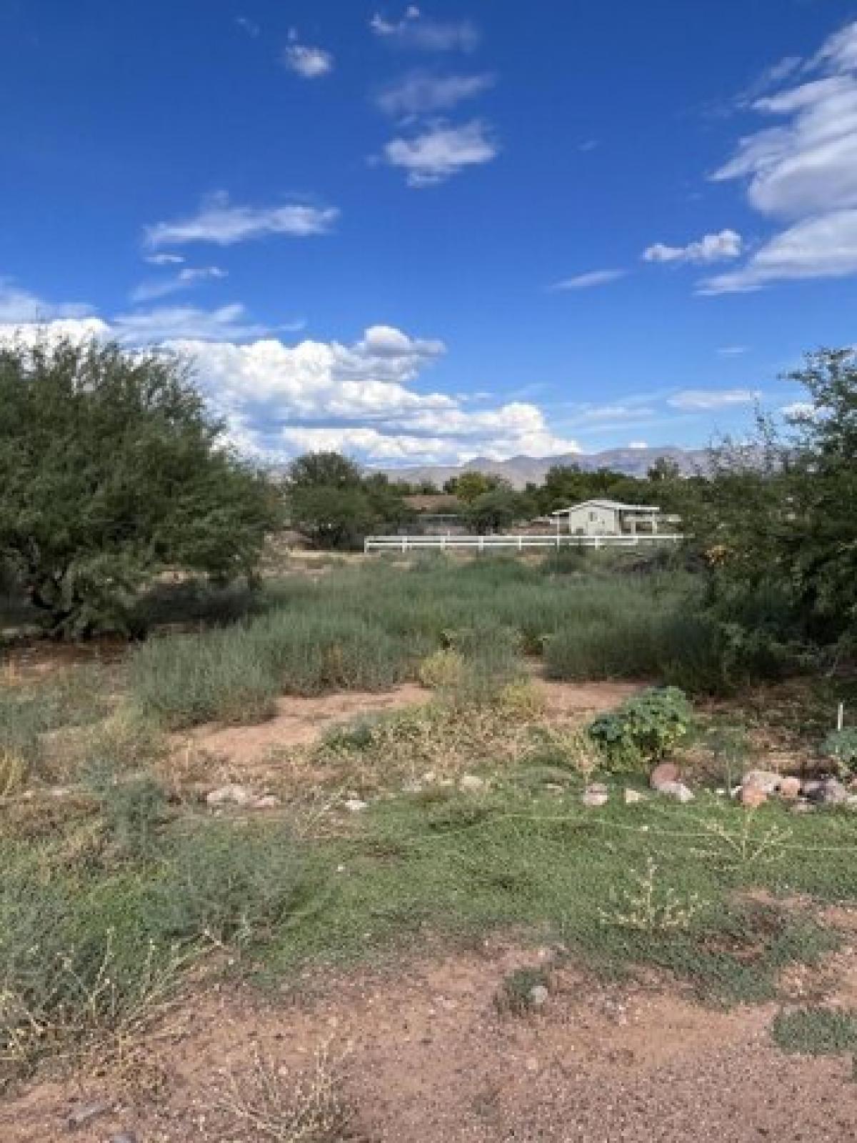 Picture of Residential Land For Sale in Tonto Basin, Arizona, United States