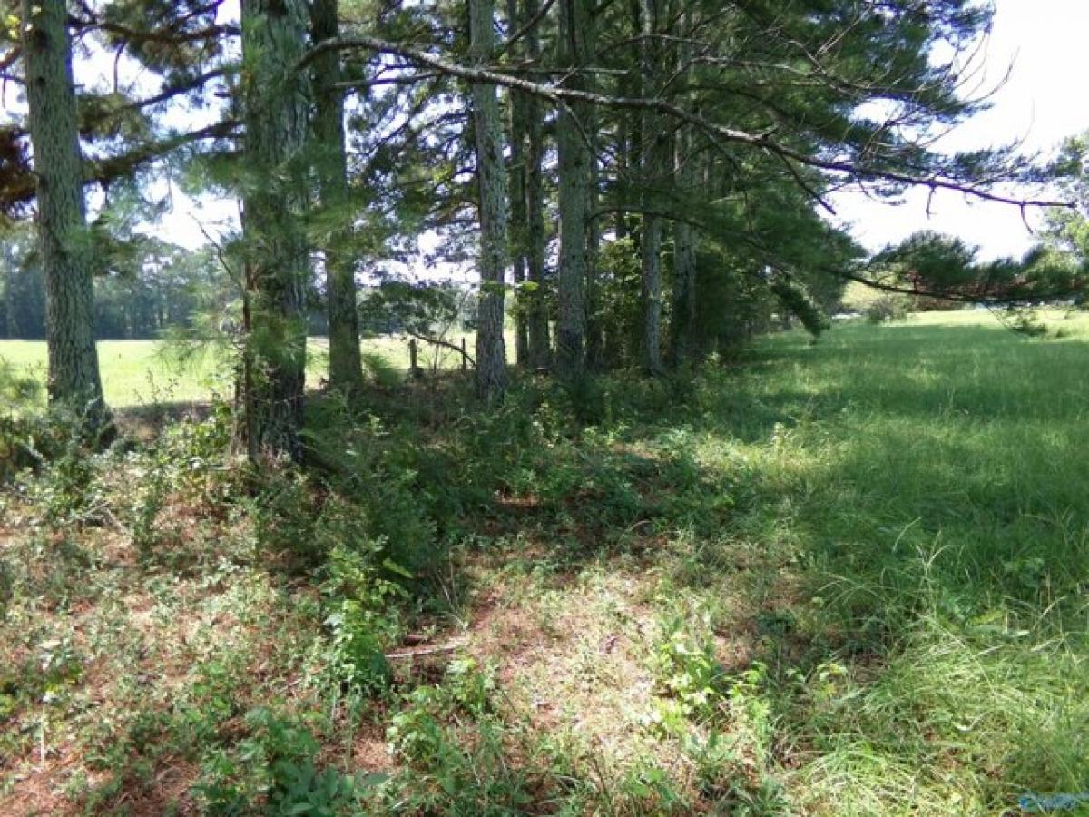 Picture of Residential Land For Sale in Leesburg, Alabama, United States