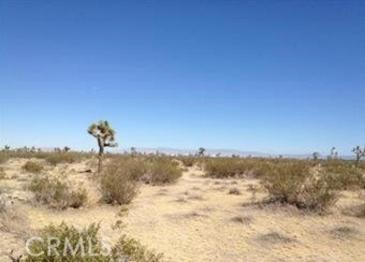 Picture of Residential Land For Sale in Adelanto, California, United States