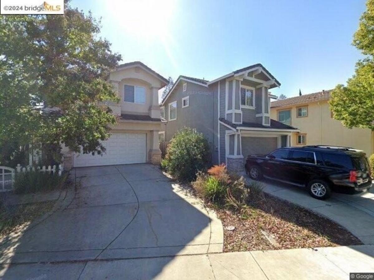 Picture of Home For Rent in Concord, California, United States