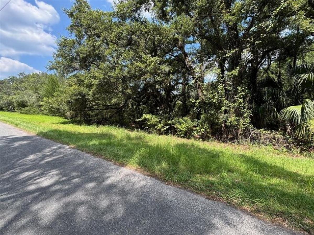 Picture of Residential Land For Sale in Earleton, Florida, United States