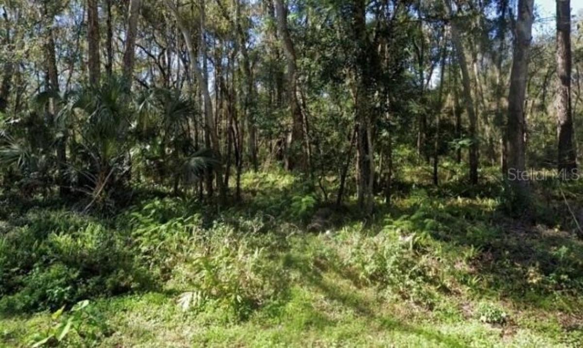 Picture of Residential Land For Sale in Brooksville, Florida, United States