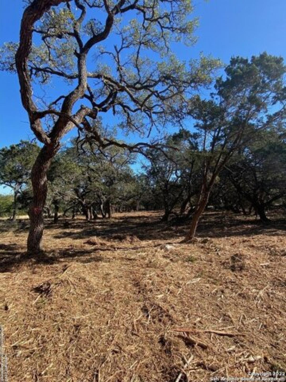 Picture of Residential Land For Sale in New Braunfels, Texas, United States