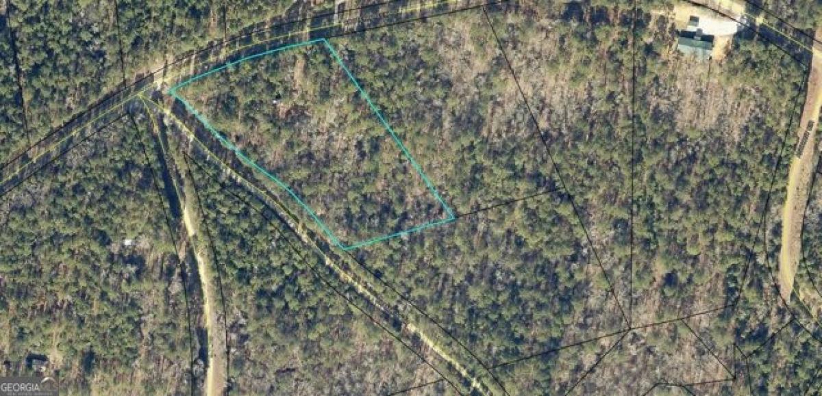 Picture of Residential Land For Sale in Elberton, Georgia, United States