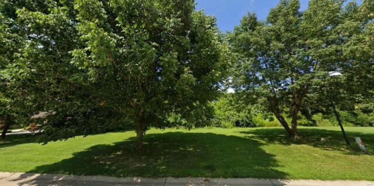 Picture of Residential Land For Sale in Maryville, Illinois, United States