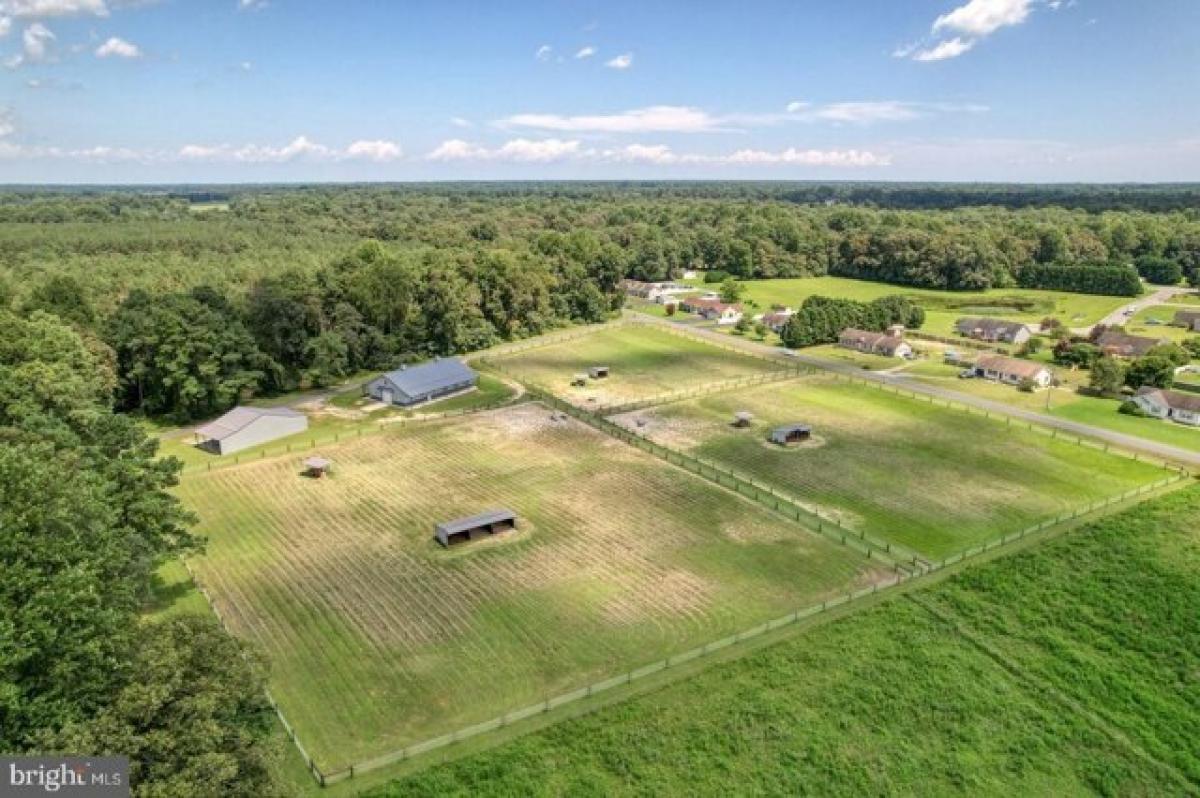 Picture of Home For Sale in Harrington, Delaware, United States