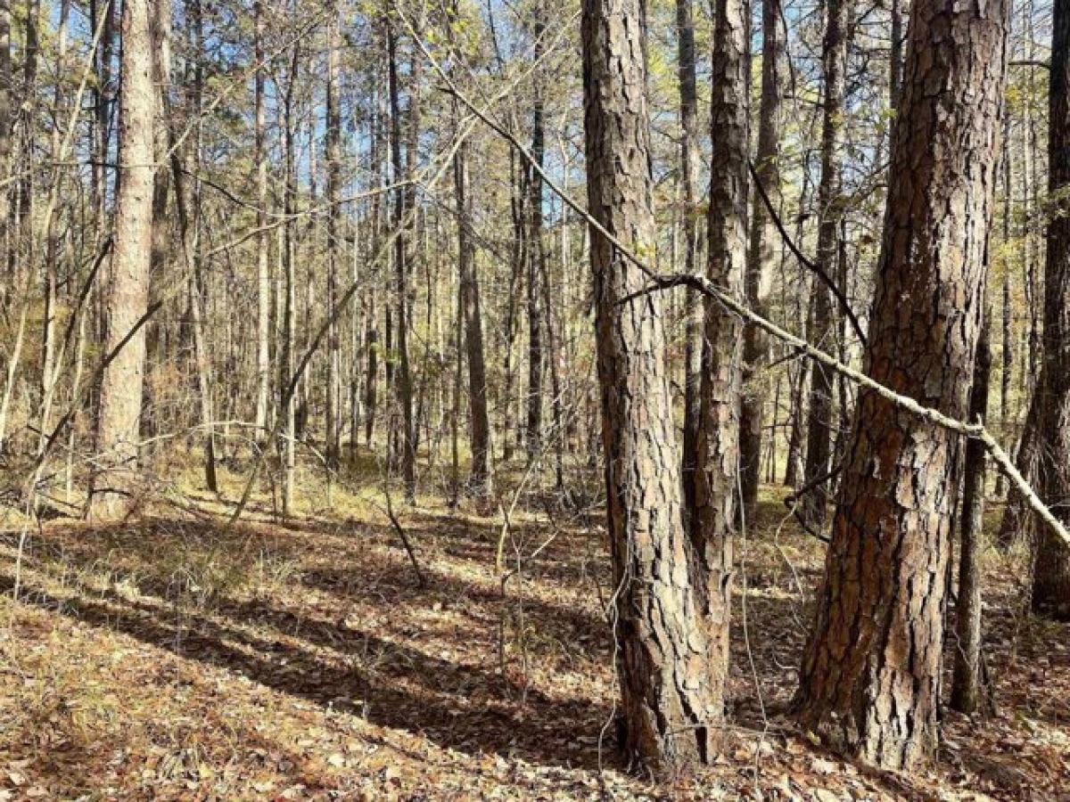 Picture of Residential Land For Sale in Plainview, Arkansas, United States