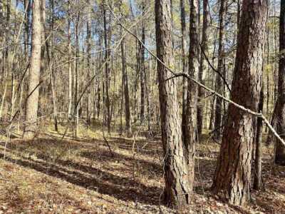 Residential Land For Sale in Plainview, Arkansas