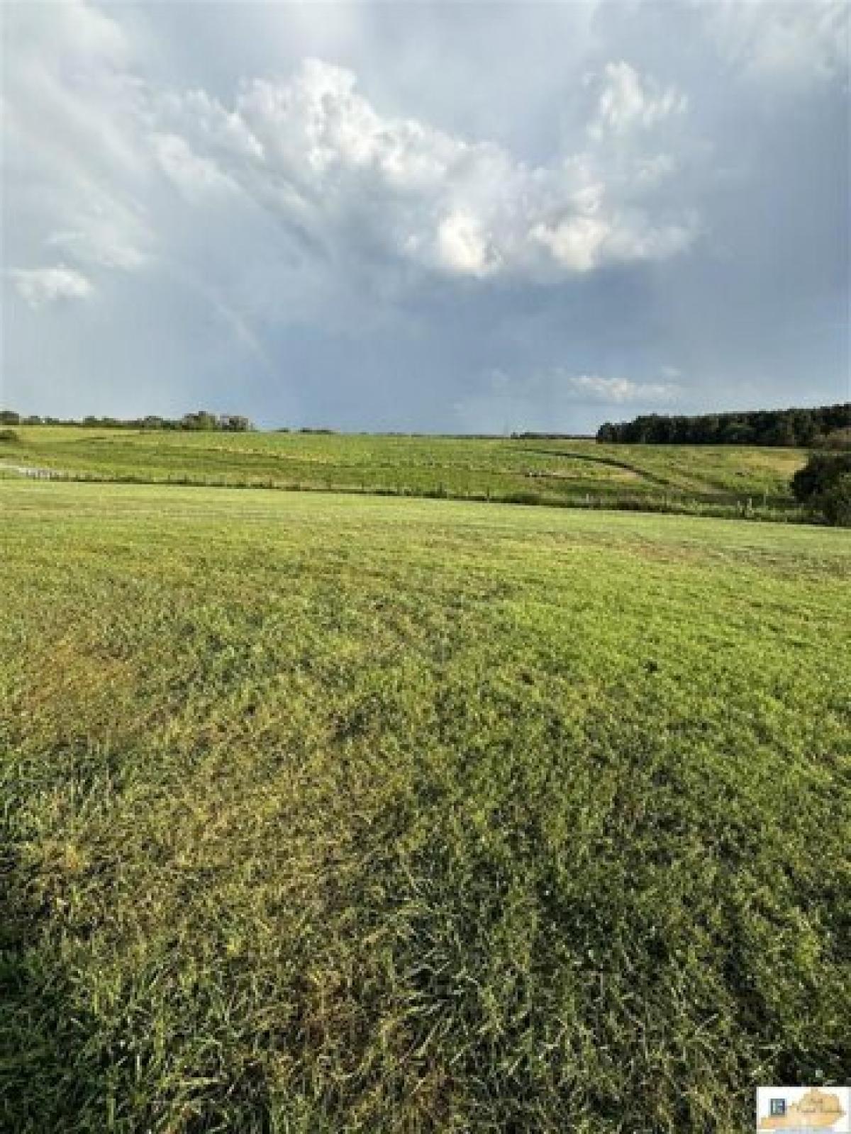 Picture of Residential Land For Sale in Glasgow, Kentucky, United States