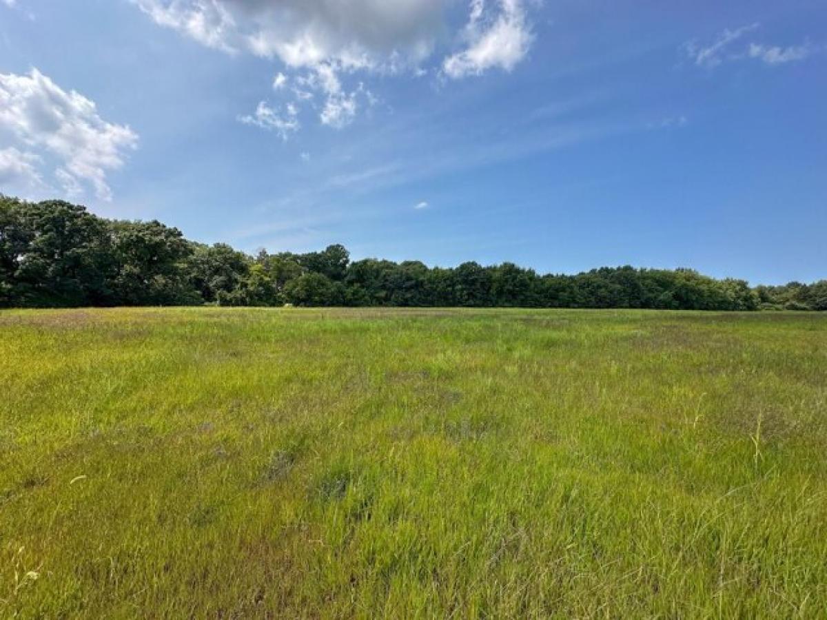 Picture of Residential Land For Sale in Benton Harbor, Michigan, United States