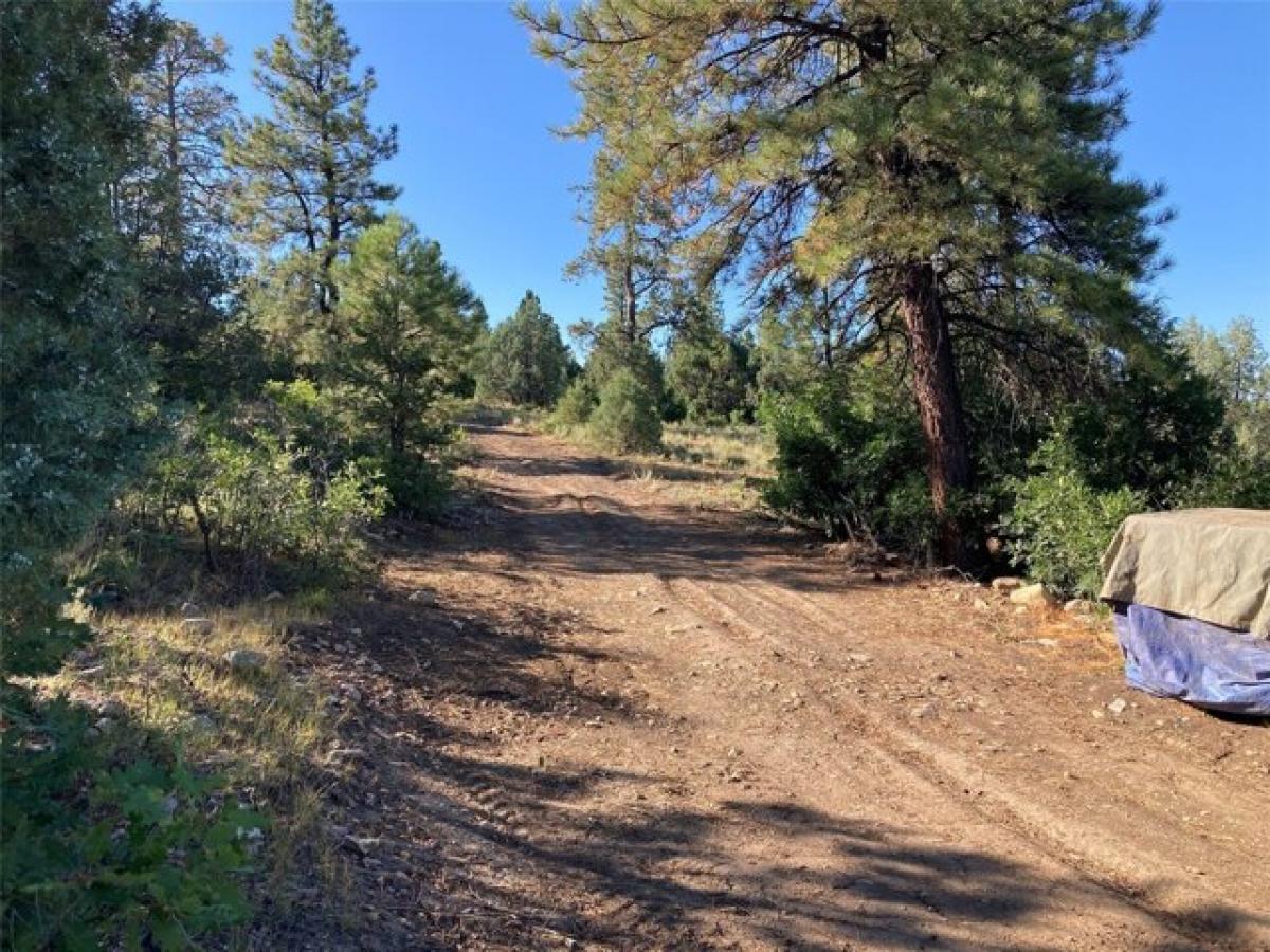 Picture of Residential Land For Sale in Tierra Amarilla, New Mexico, United States