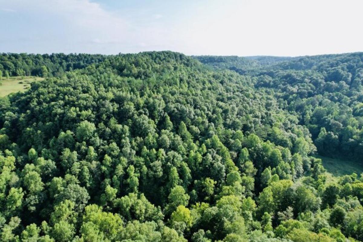 Picture of Residential Land For Sale in Somerset, Kentucky, United States