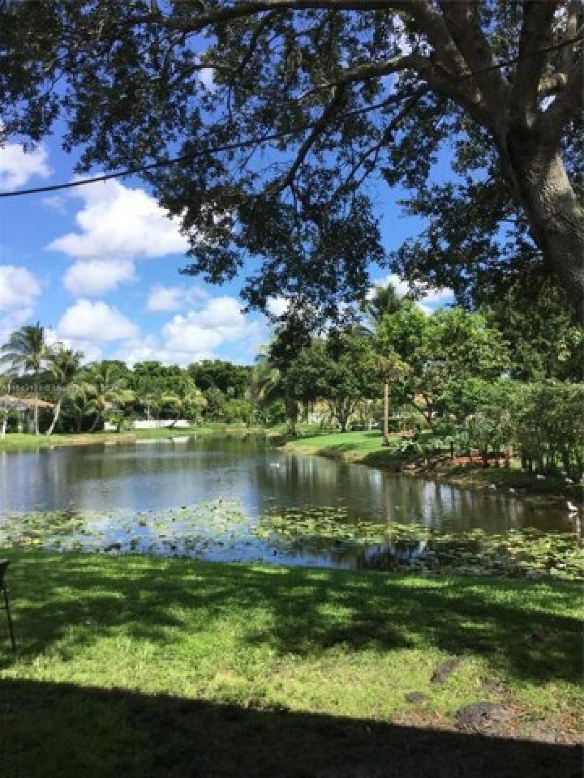 Picture of Apartment For Rent in Coral Springs, Florida, United States