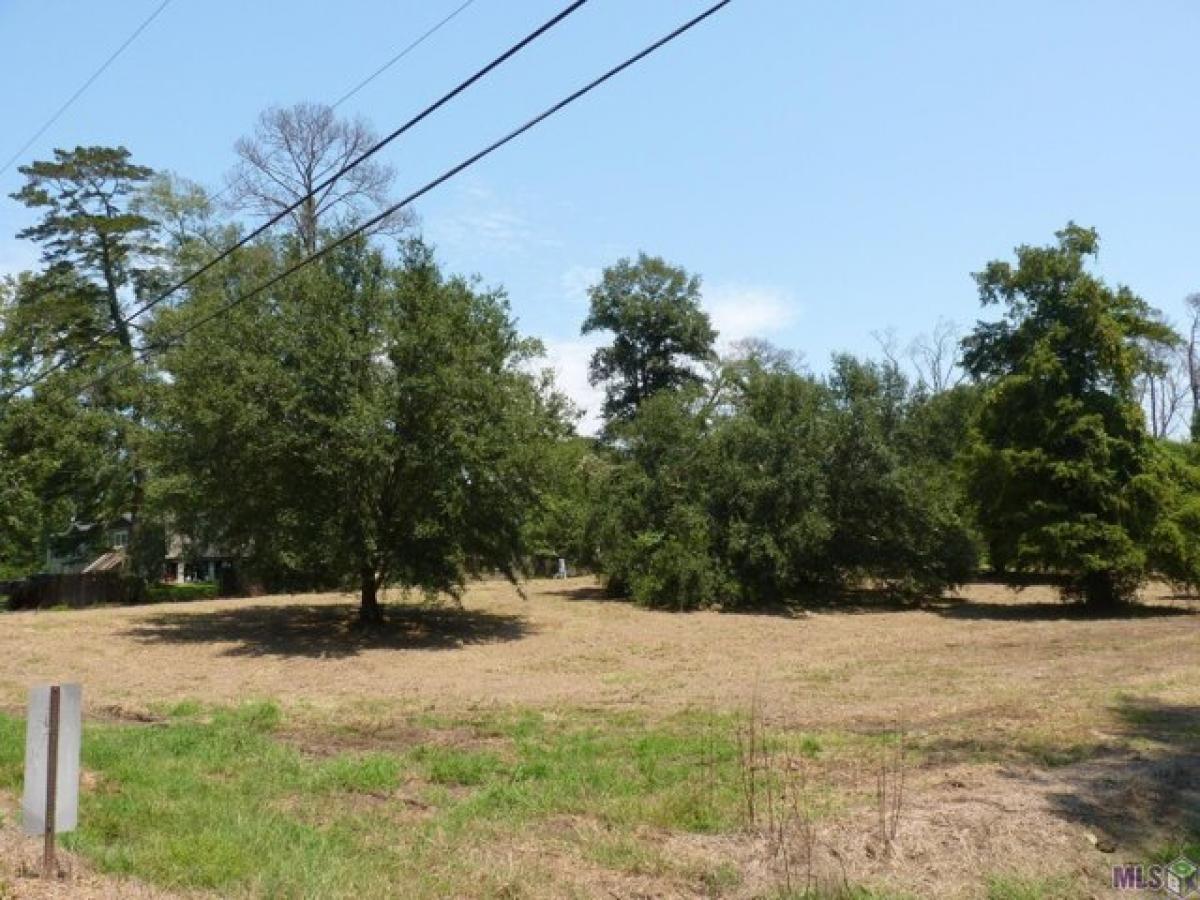 Picture of Residential Land For Sale in Prairieville, Louisiana, United States