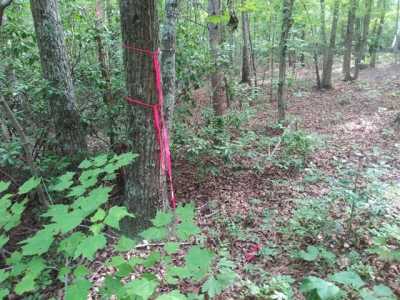 Residential Land For Sale in New Canton, Virginia