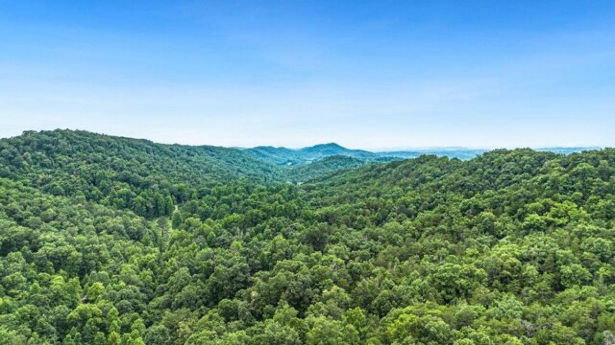 Picture of Residential Land For Sale in Rogersville, Tennessee, United States