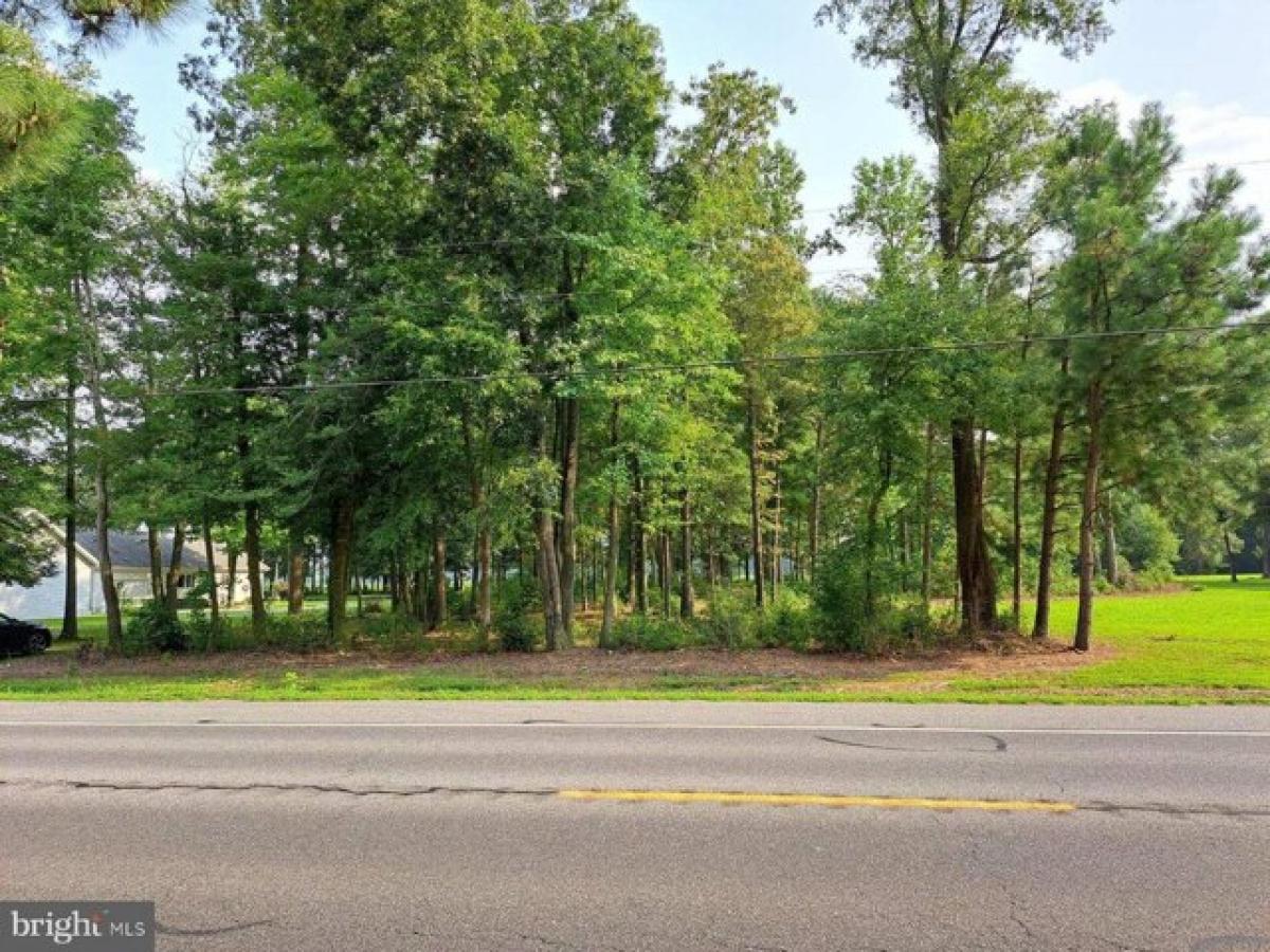 Picture of Residential Land For Sale in Delmar, Delaware, United States