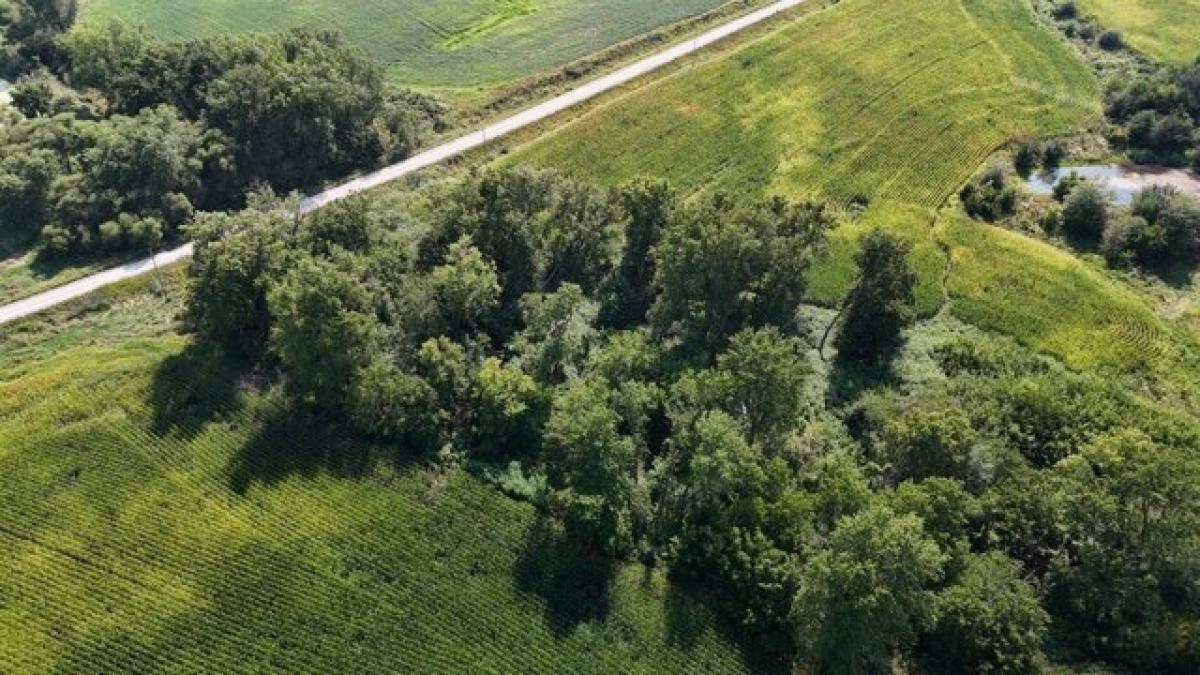 Picture of Home For Sale in Humeston, Iowa, United States