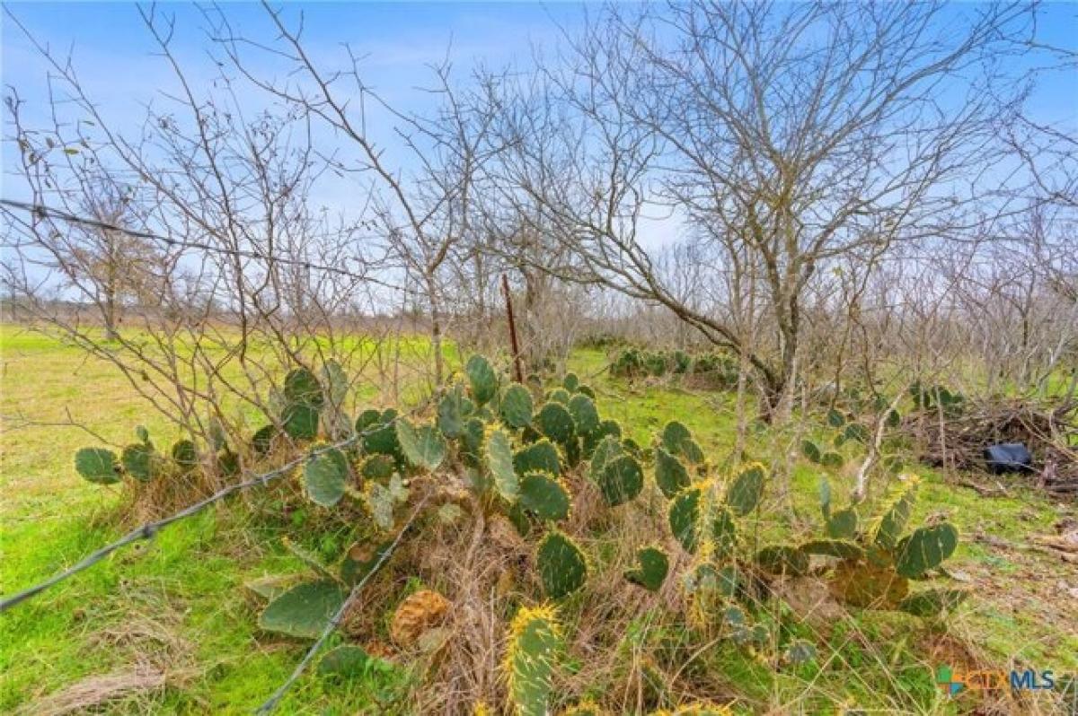 Picture of Residential Land For Sale in Dale, Texas, United States