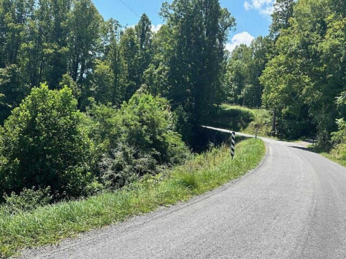 Picture of Residential Land For Sale in Blue Ridge, Virginia, United States