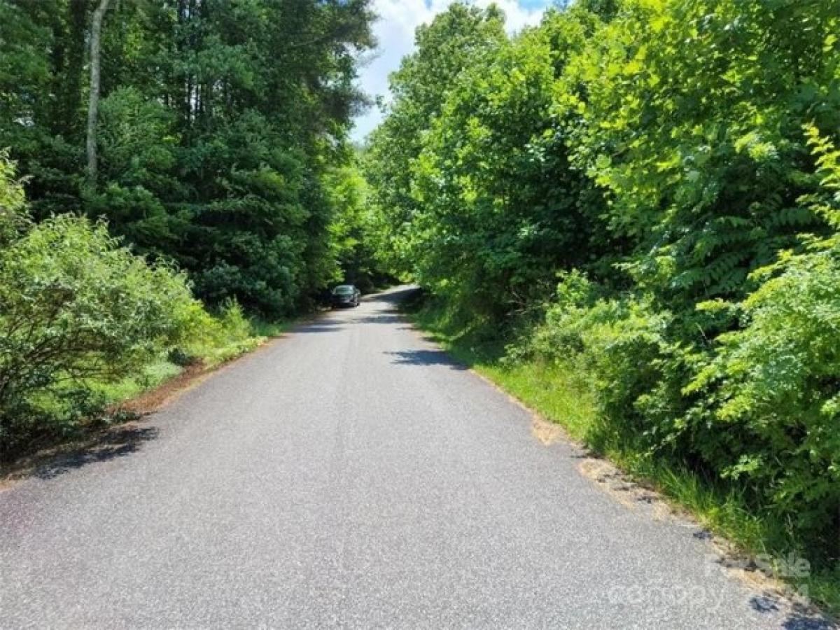 Picture of Residential Land For Sale in Burnsville, North Carolina, United States