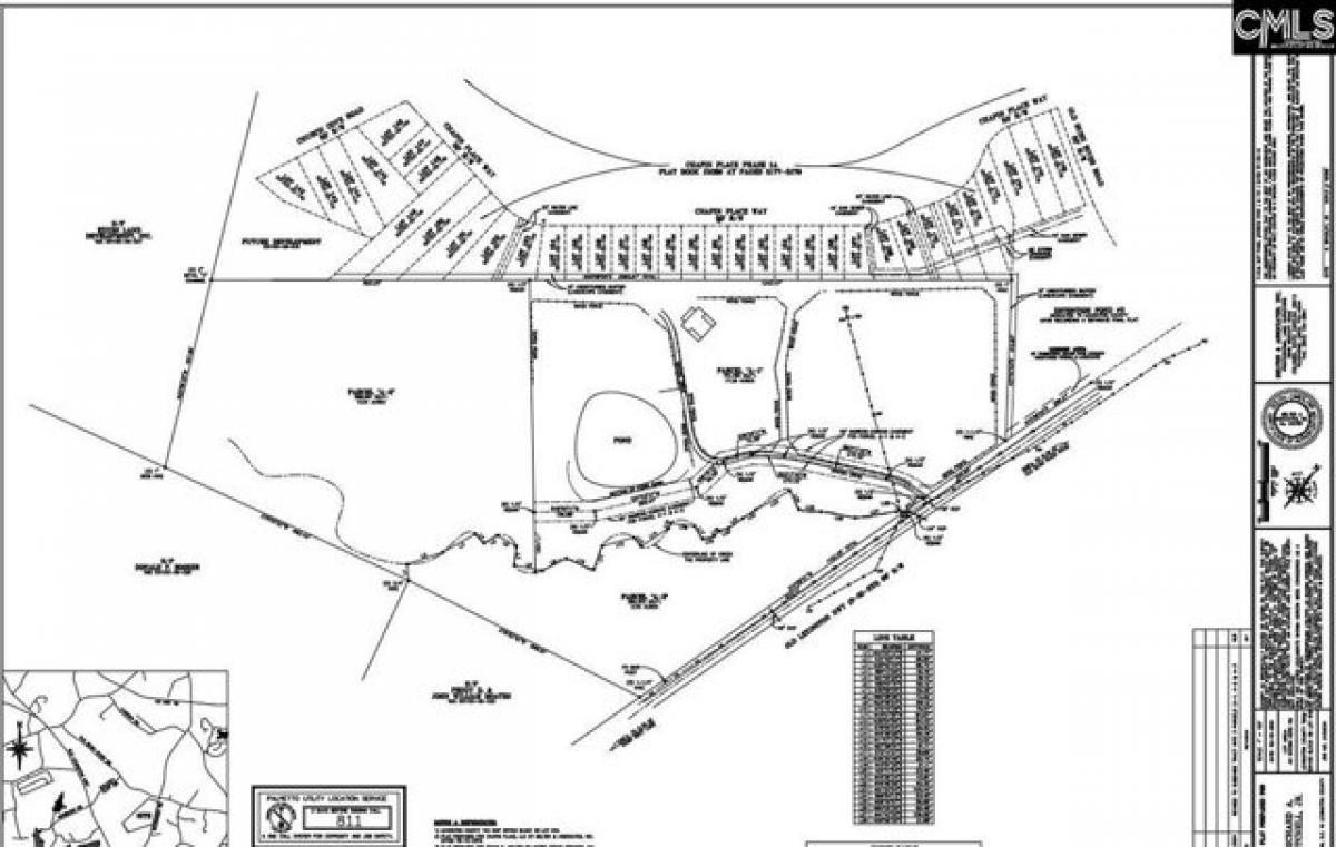 Picture of Residential Land For Sale in Chapin, South Carolina, United States