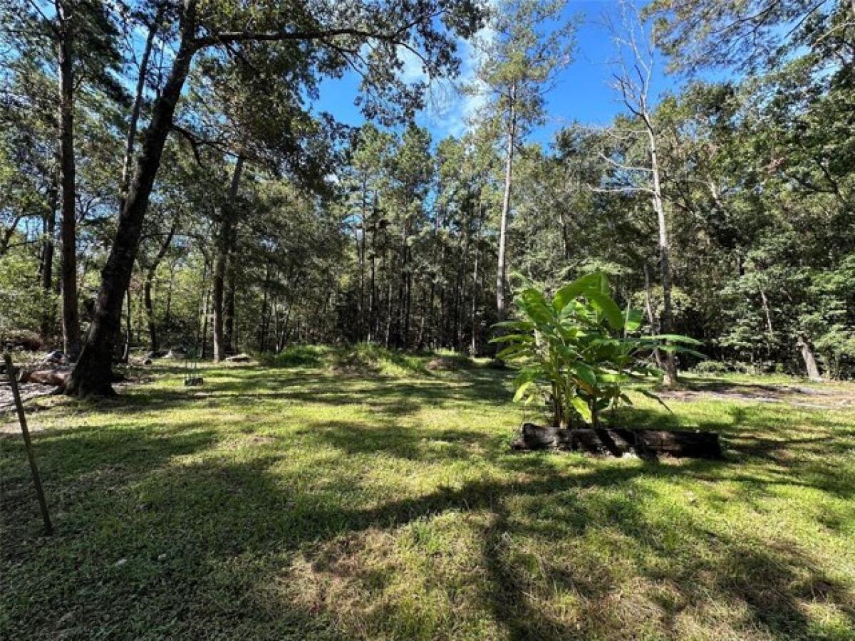 Picture of Residential Land For Sale in Shepherd, Texas, United States