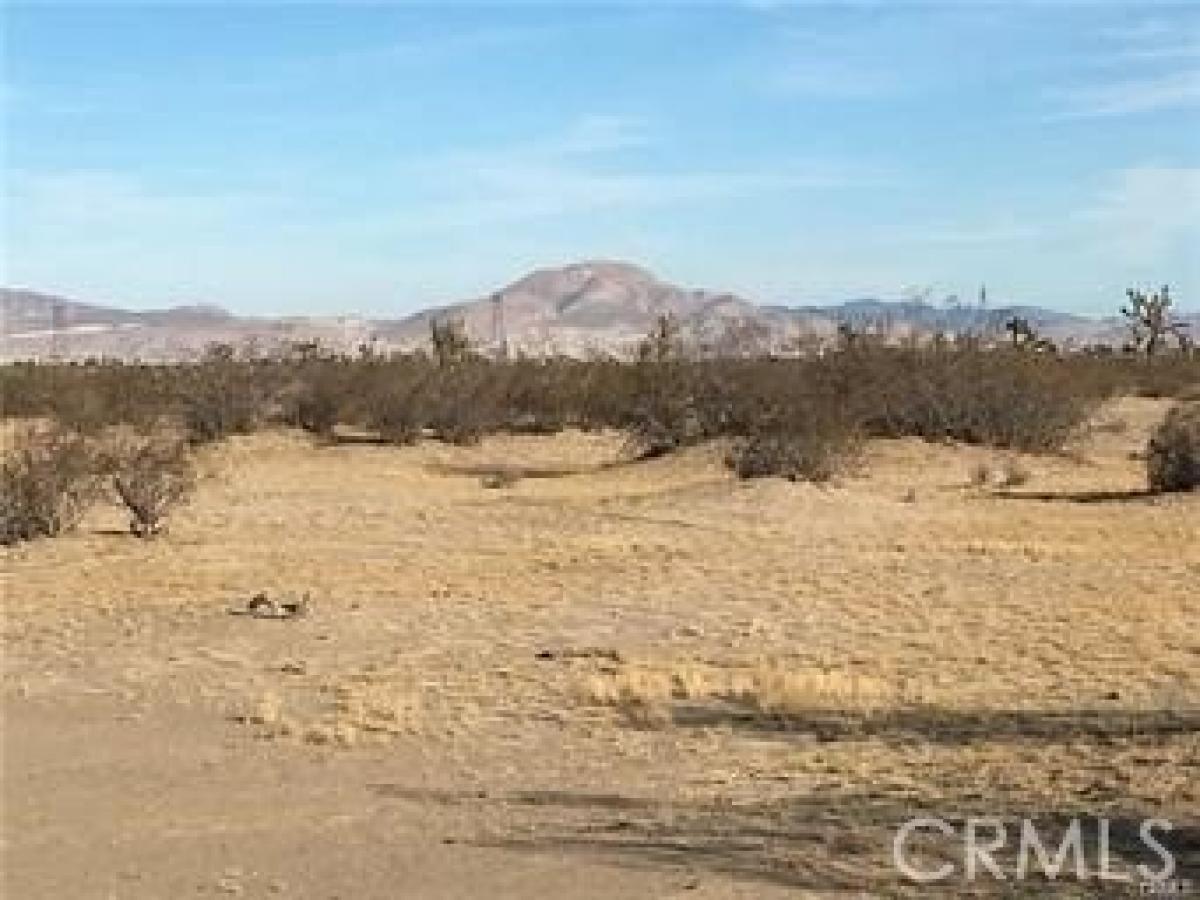 Picture of Residential Land For Sale in Adelanto, California, United States