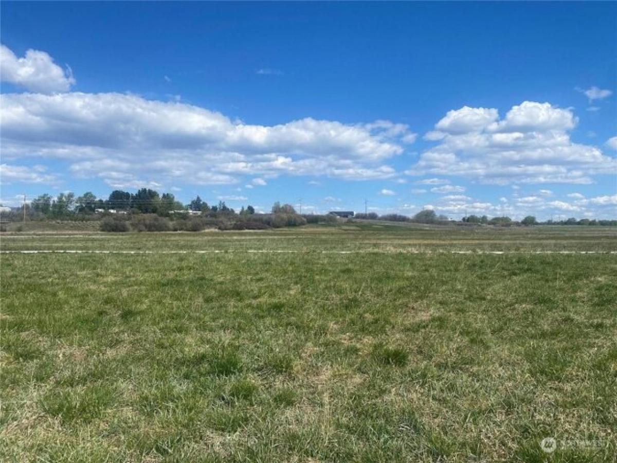 Picture of Residential Land For Sale in Ellensburg, Washington, United States