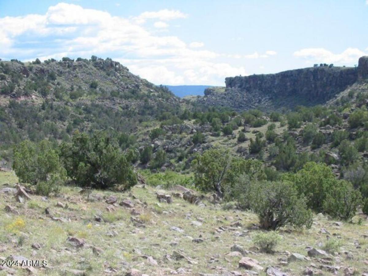 Picture of Residential Land For Sale in Springerville, Arizona, United States