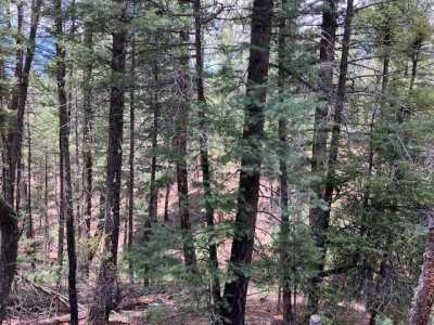 Residential Land For Sale in Pecos, New Mexico