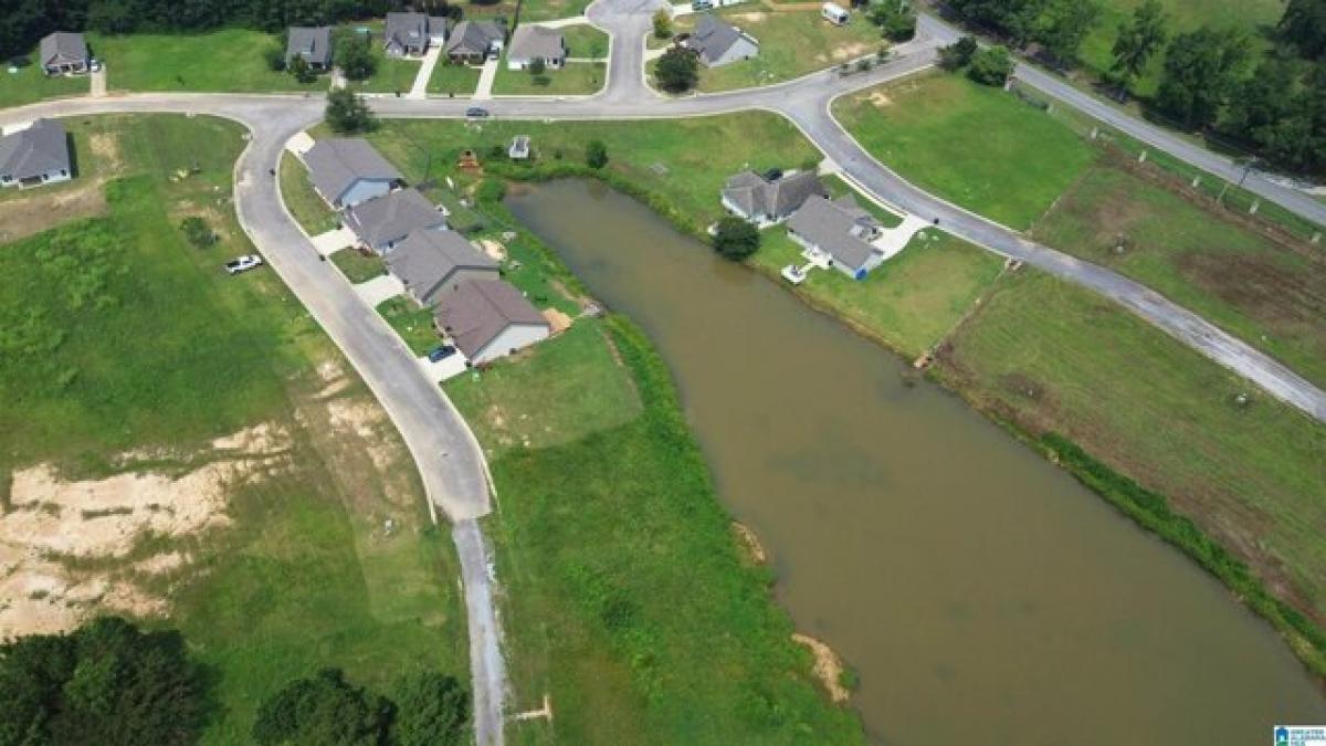 Picture of Residential Land For Sale in Clanton, Alabama, United States