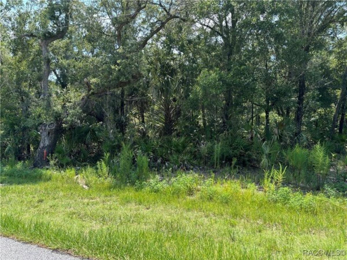 Picture of Residential Land For Sale in Crystal River, Florida, United States