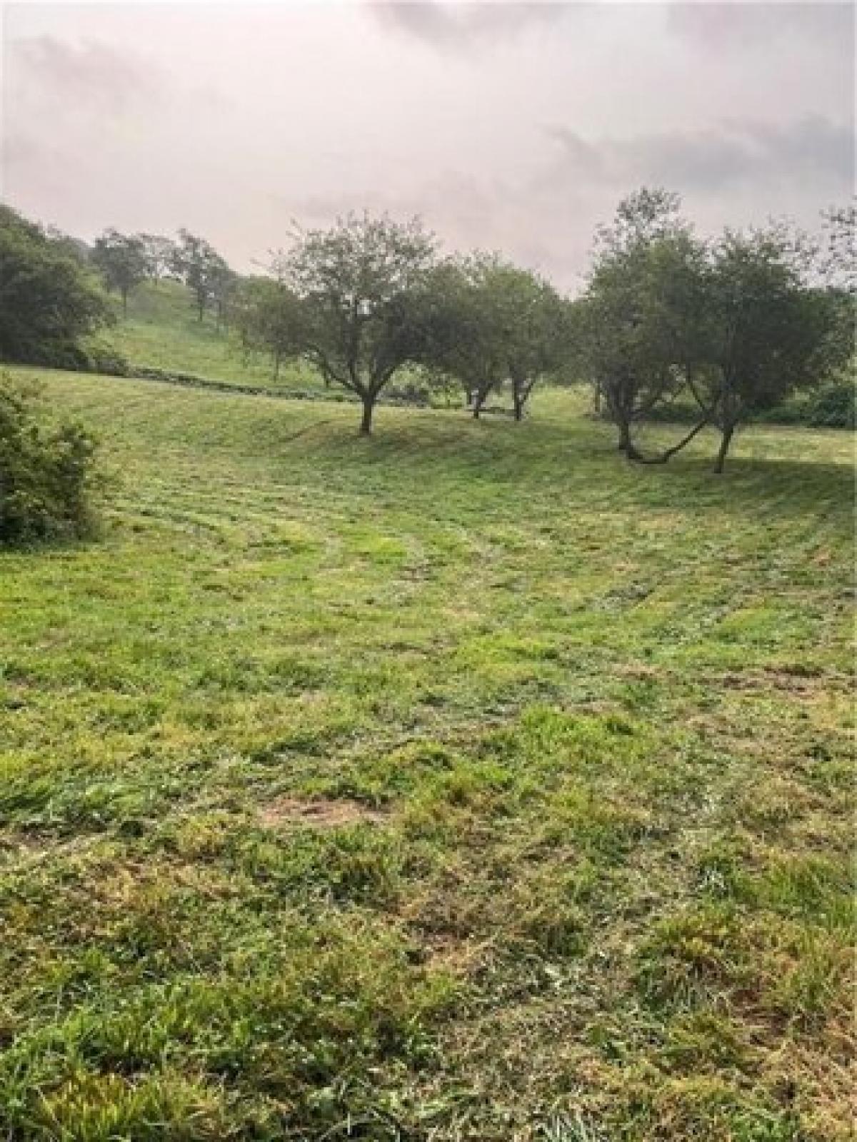 Picture of Residential Land For Sale in Block Island, Rhode Island, United States