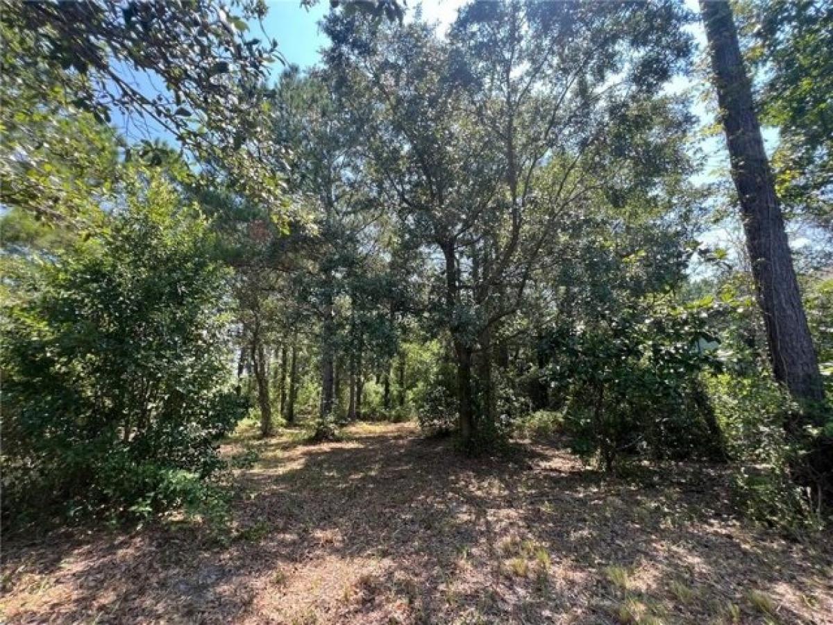 Picture of Residential Land For Rent in Pass Christian, Mississippi, United States