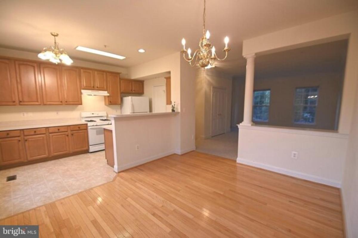 Picture of Home For Rent in Silver Spring, Maryland, United States