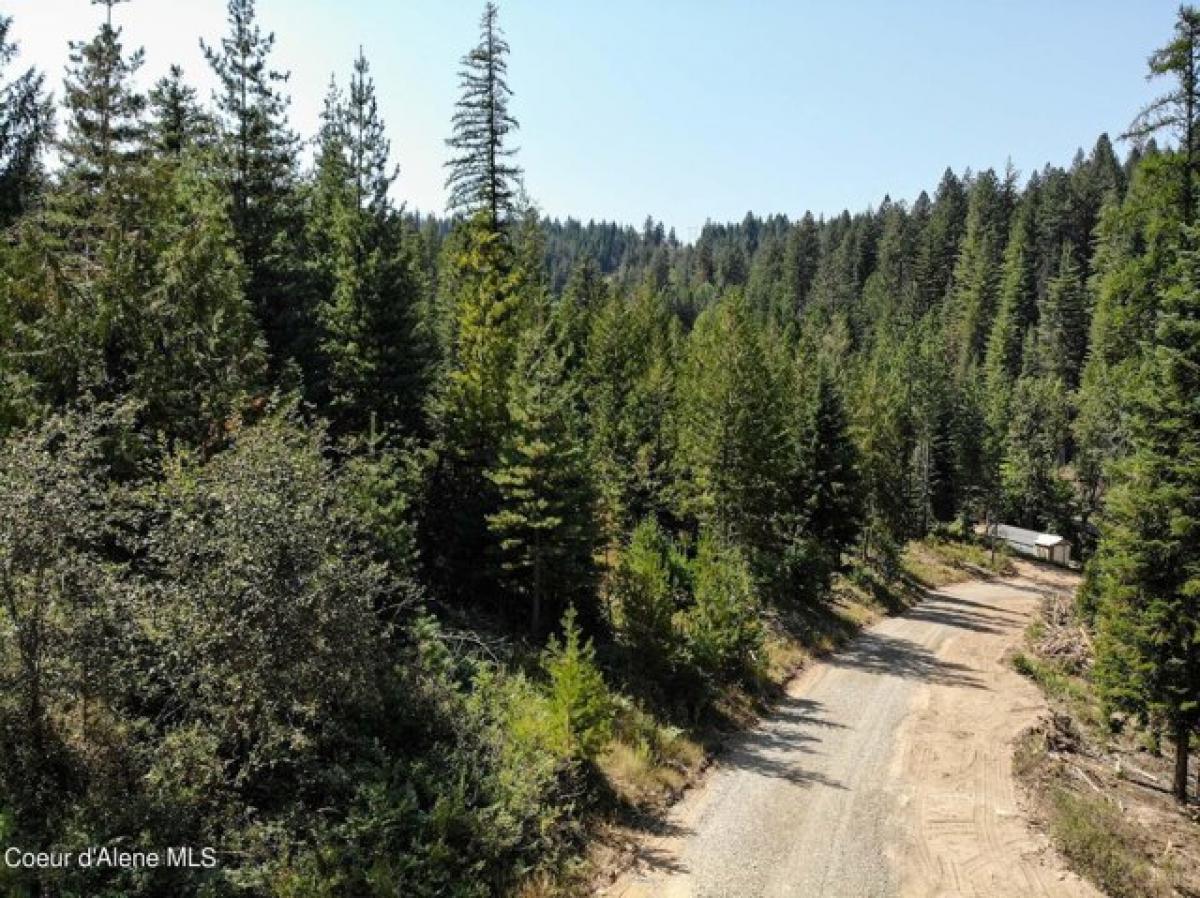 Picture of Residential Land For Sale in Pinehurst, Idaho, United States