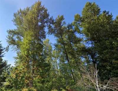 Residential Land For Sale in Auburn, Washington