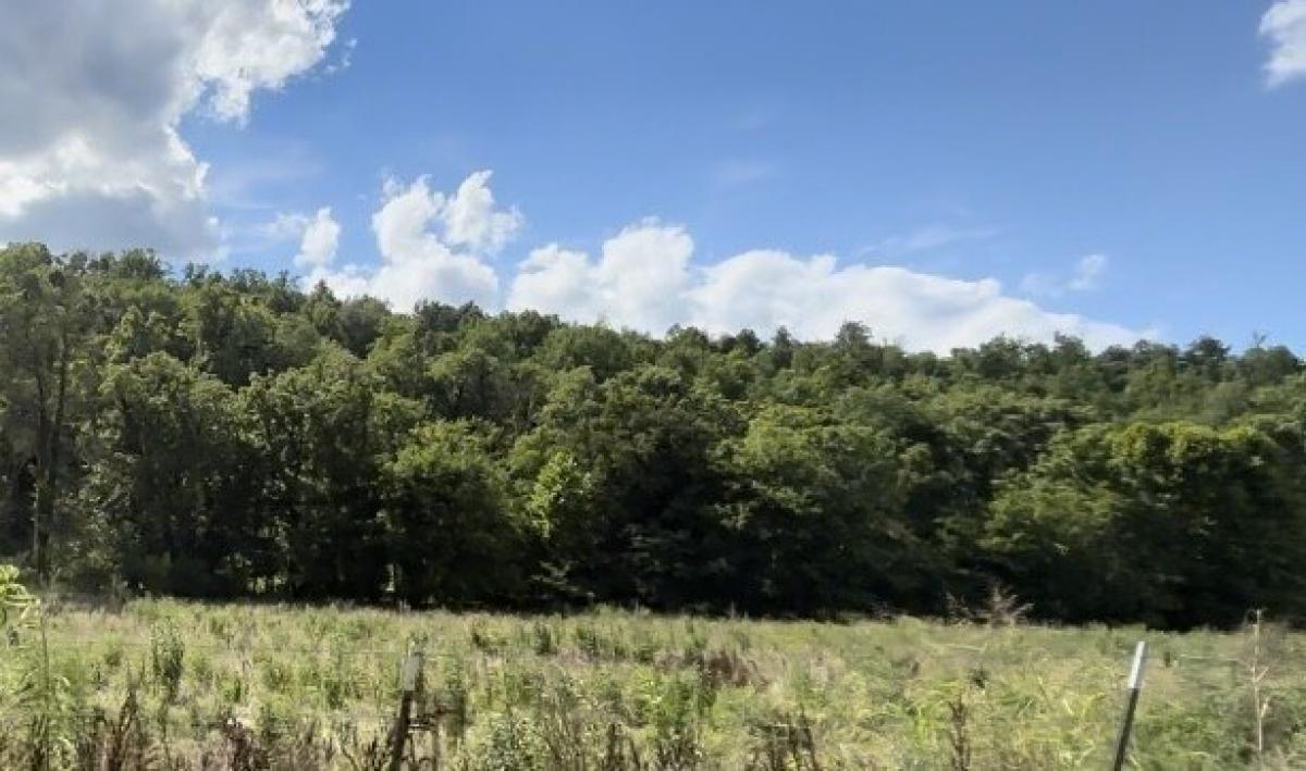 Picture of Residential Land For Sale in Frankewing, Tennessee, United States