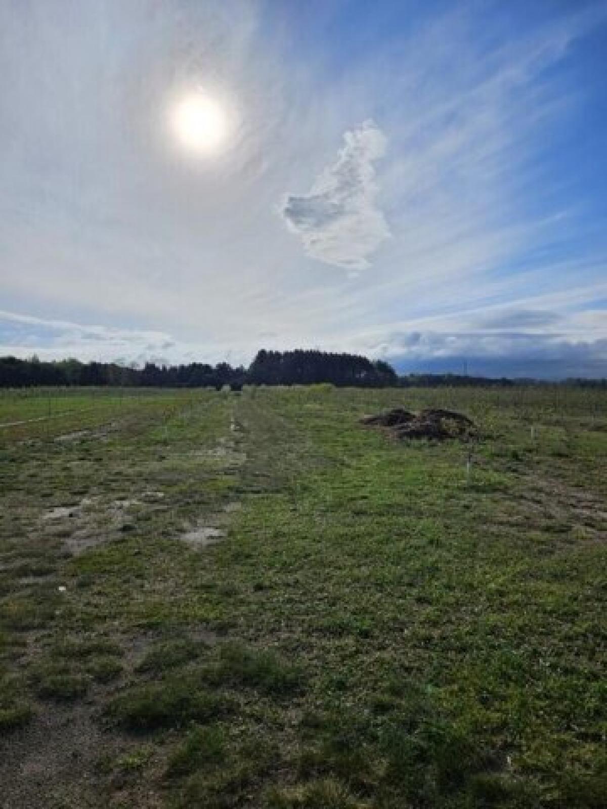 Picture of Residential Land For Sale in Manistee, Michigan, United States