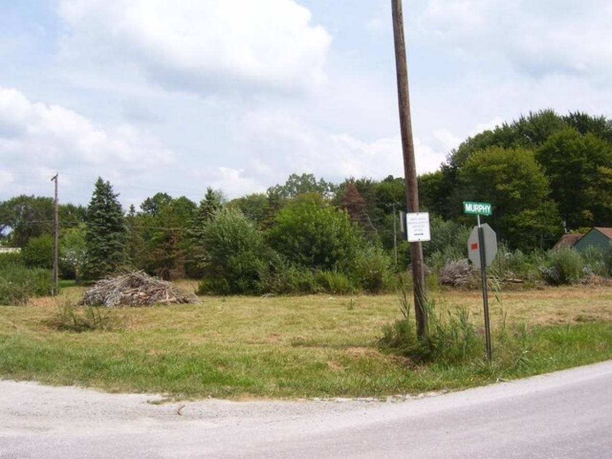 Picture of Residential Land For Sale in Marysville, Michigan, United States