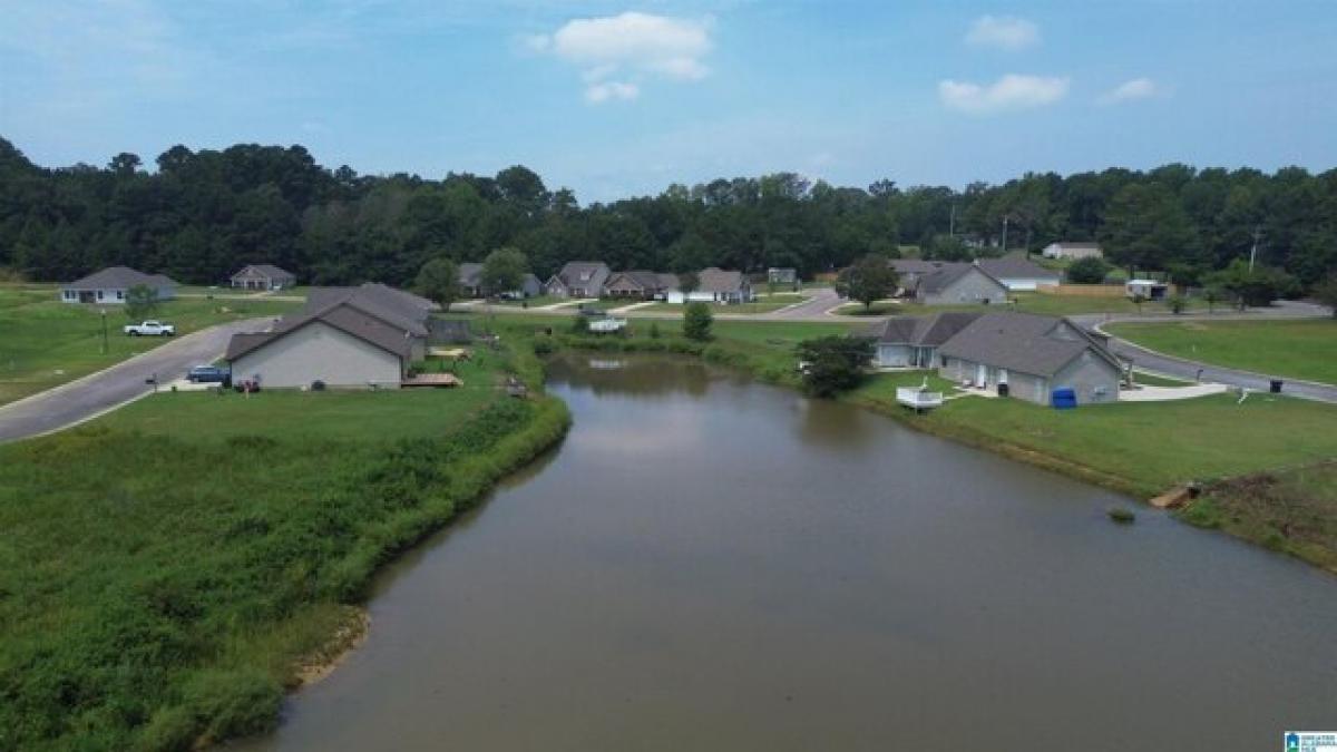 Picture of Residential Land For Sale in Clanton, Alabama, United States